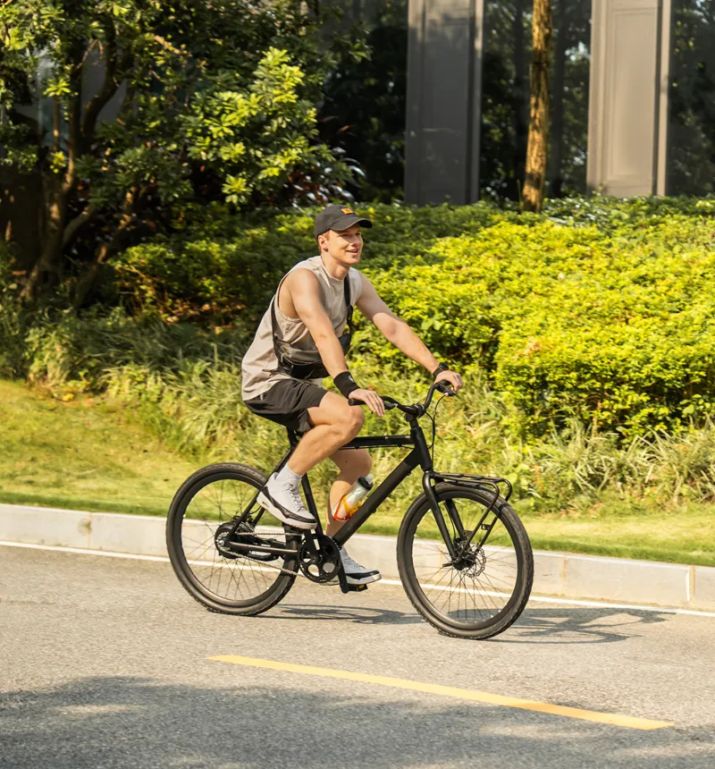 40 MPH Electric Bicycle
