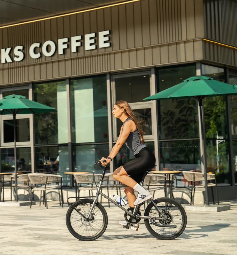 Electric Bike with Rack