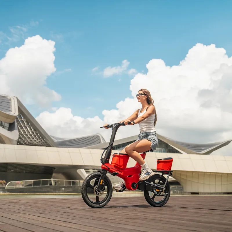 Food Delivery Electric Exercise Bike