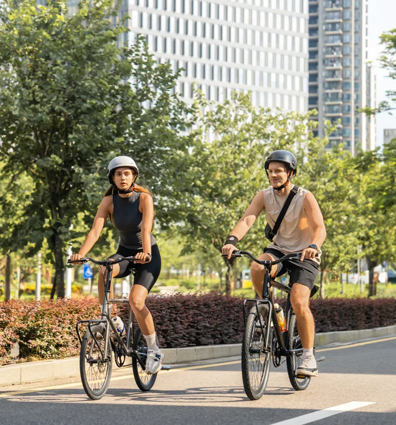 Lightweight Electric Bike