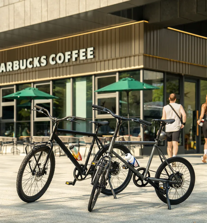 Long-Range Electric Bike
