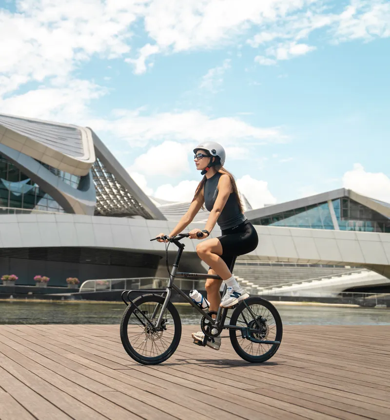 20-Inch Electric Bicycle