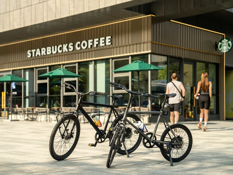 Parameters for Electric Bike