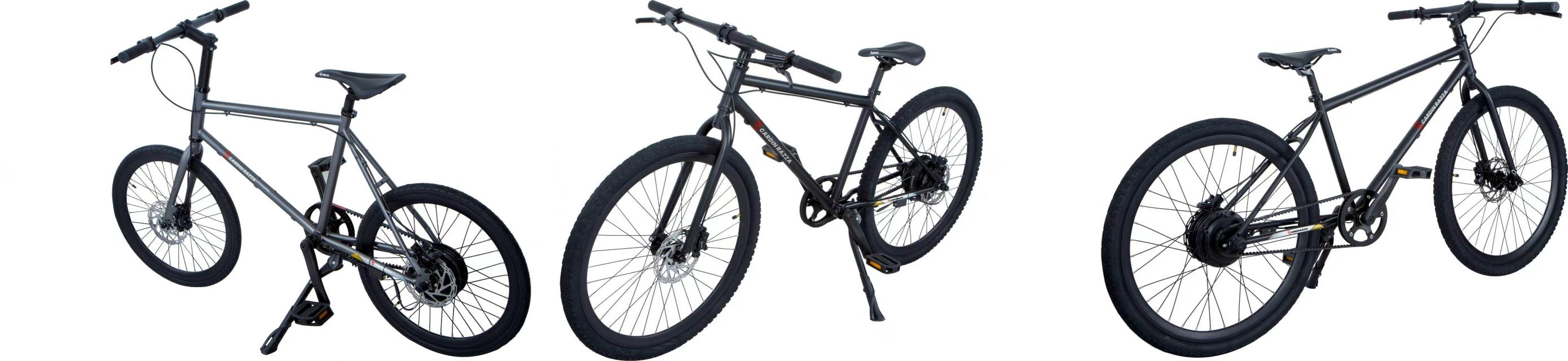 cardin razza e bike factory.jpg