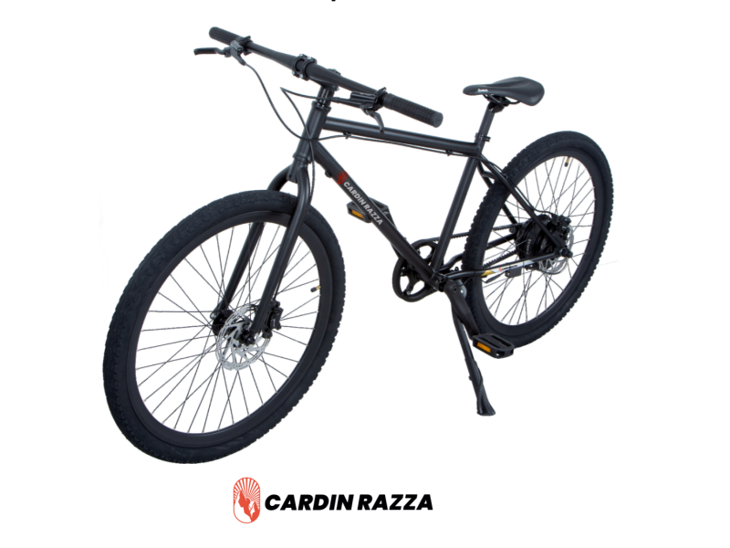 cardin razza e-bike.png