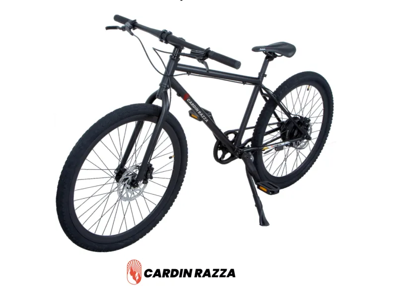 Cardin Razza E-Bike | OEM/ODM Case (Aluminum Alloy Frame)