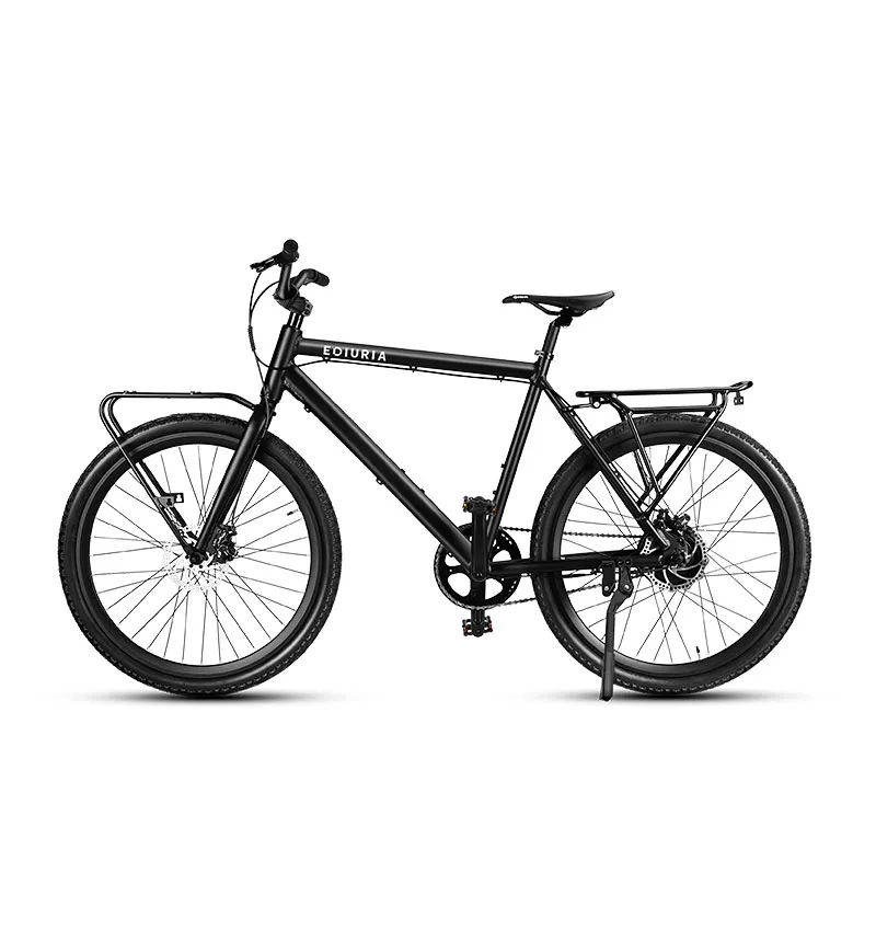 Electric Bike with Rack