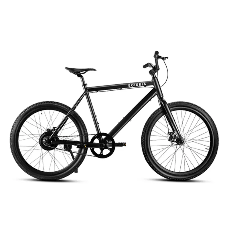 Leisure Travel Electric Bicycle