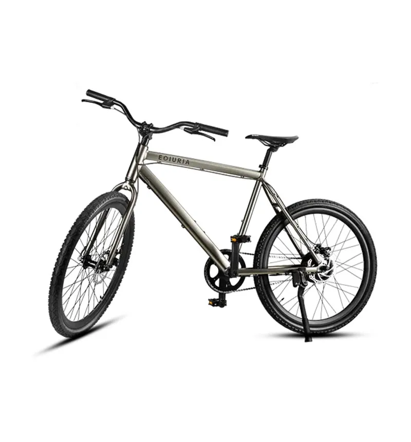 Lightweight Electric Bike