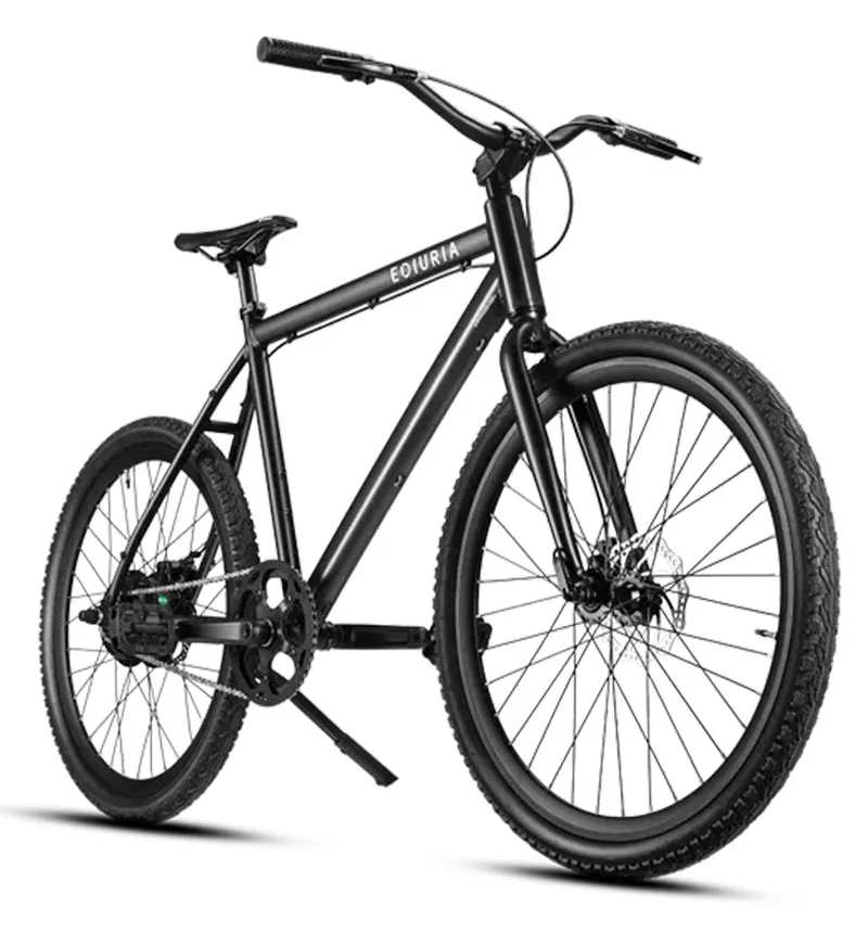 Long-Range Electric Bike