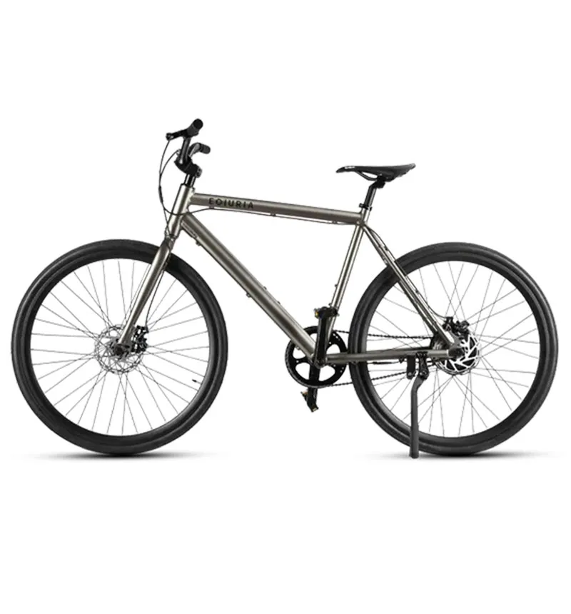 Senior Leisure Electric Bicycle